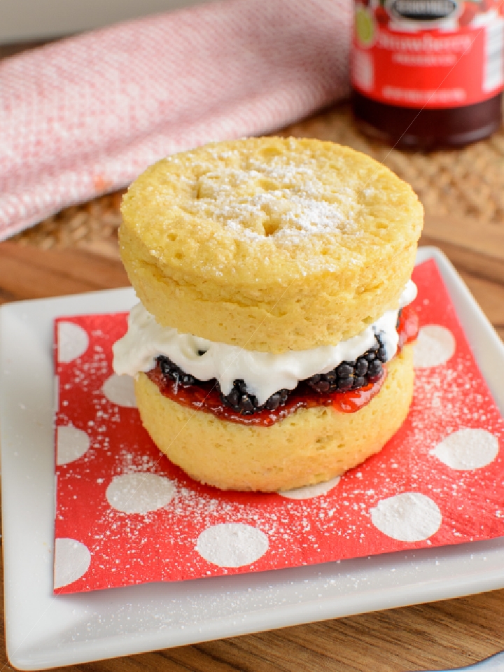 Low Syn Victoria Sponge Mug Cake