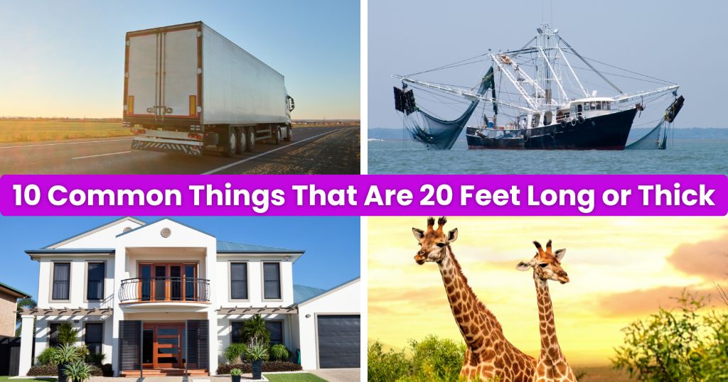 10 Common Things That Are 20 Feet Long or Thick