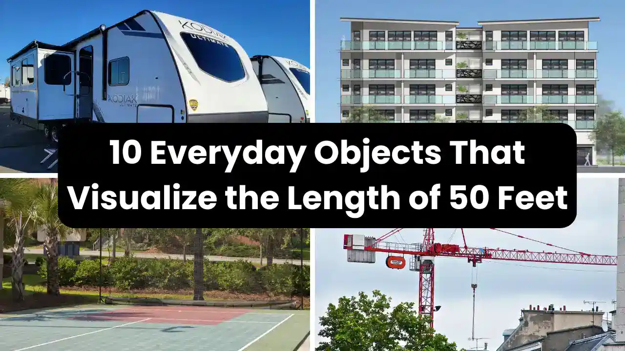 10 Everyday Objects That Visualize the Length of 50 Feet