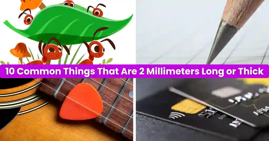 10 Common Things That Are 2 Millimeters Long or Thick