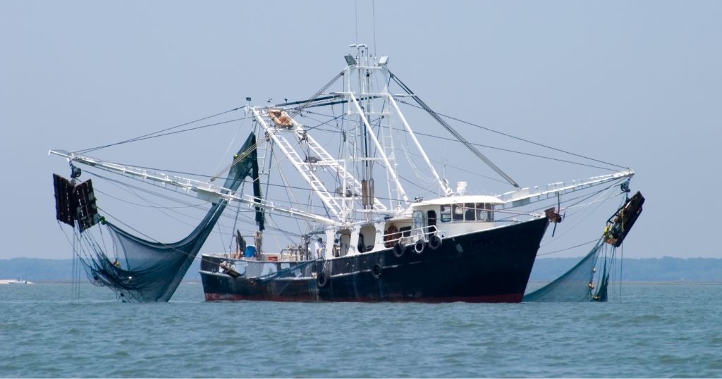 10 Things That Are 20 Feet Long or Big - Small Fishing Boat