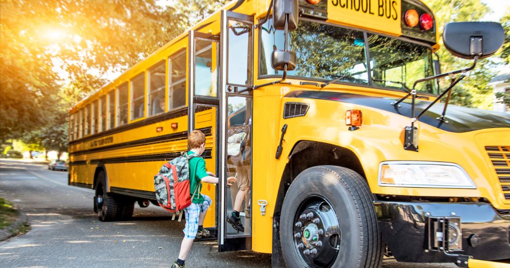 10 Things That Are 20 Feet Long or Big - Standard School Bus