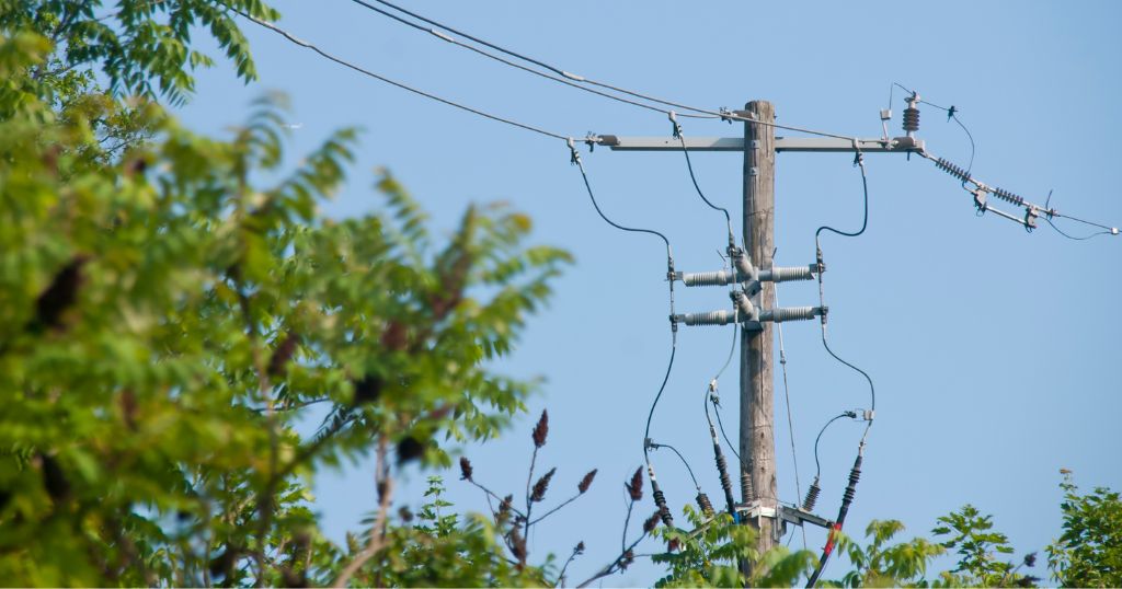 10 Things That Are 20 Feet Long or Big - Utility Pole