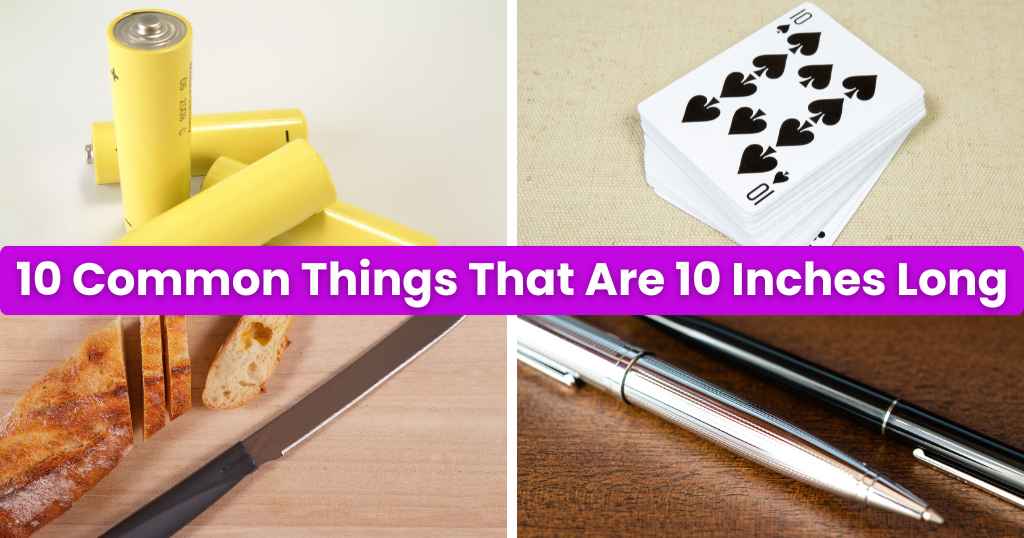 10 Common Things That Are 10 Inches Long