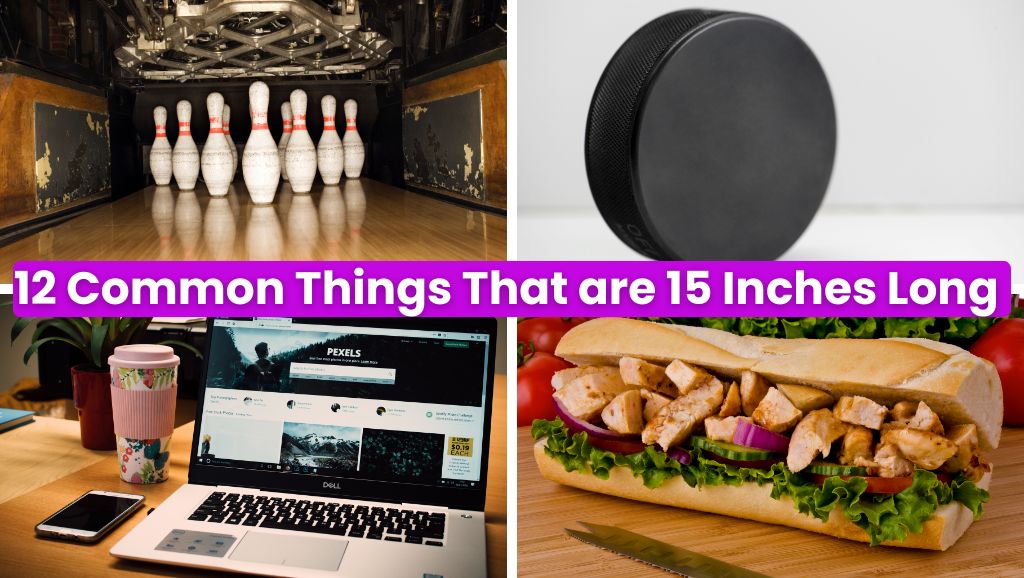 12 Common Things That are 15 Inches Long